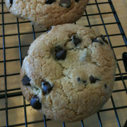Good n' Chewy Chocolate Chip Cookies