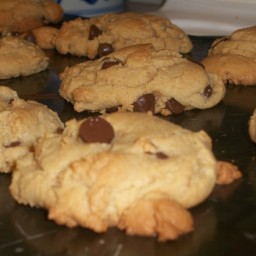 Peanut Butter n Chocolate Chip Cookies